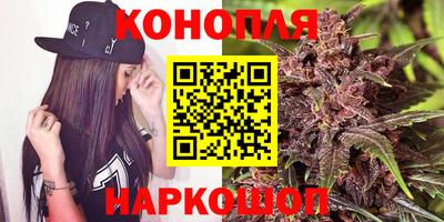 стаф Будённовск