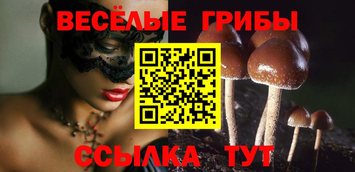 Гурьевск  Псилоцибиновые грибы Magic Shrooms  Вход с VPN 
